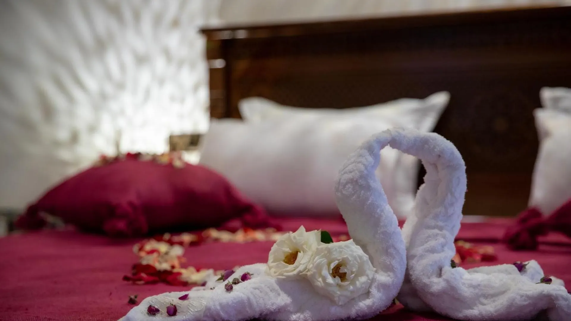 Riad Arsch Fes Suite & Spa